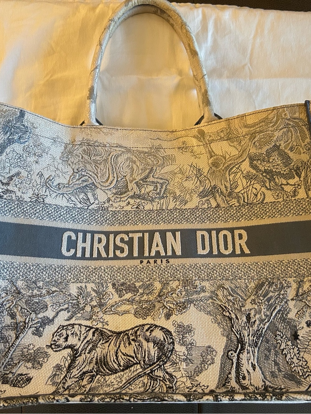 Dior Blue and Cream Toile de Jouy Book Tote with CHRISTIAN DIOR Band